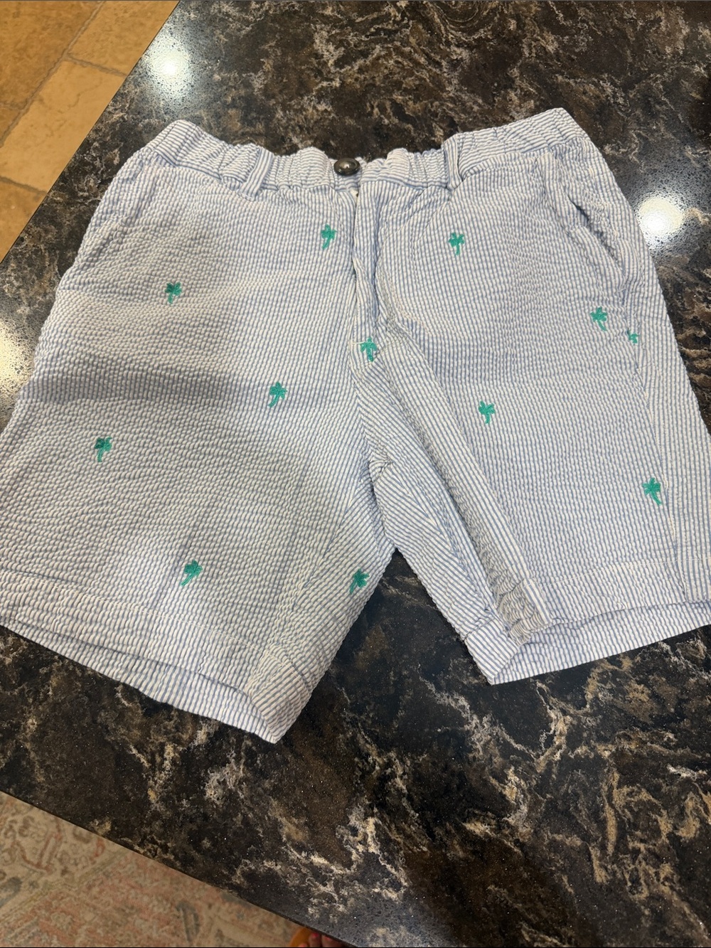 Men’s chubbies  shorts